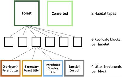 Litter Inputs, but Not Litter Diversity, Maintain Soil Processes in Degraded Tropical Forests—A Cross-Continental Comparison